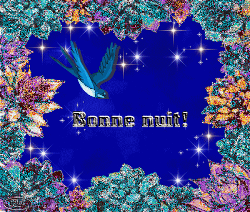 B.nuit-hirondelle.gif