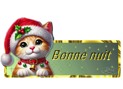 bonne-nuit-chaton.gif